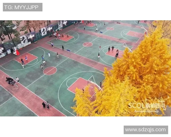 成都篮球场探秘打造城市运动新地标的魅力与活力